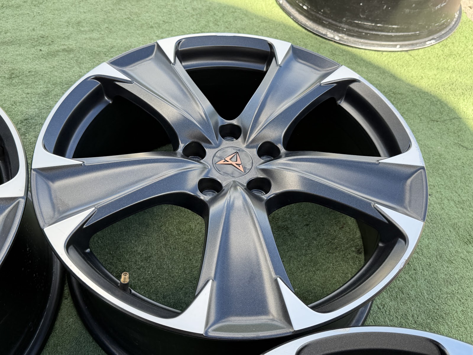 Cupra VOKISKI - 8J, ET49 - Image 4